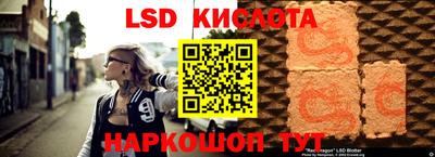 PSILOCYBIN Гусев