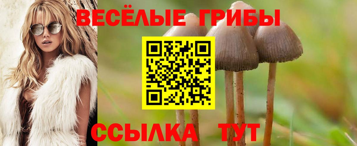 Кушва  Галлюциногенные грибы мухоморы  Вход с VPN  Галлюциногенные грибы GOLDEN TEACHER 
