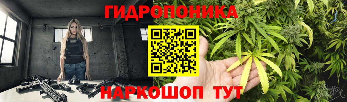 Бошки марихуана Bruce Banner  Вход с VPN  Кушва  Шишки марихуана White Widow 